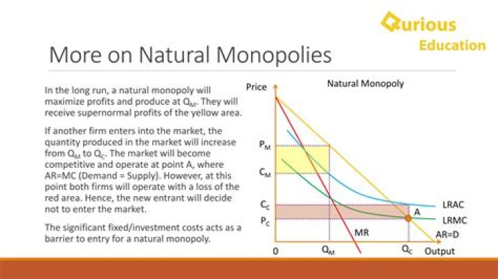Are natural monopolies regulated by the government?