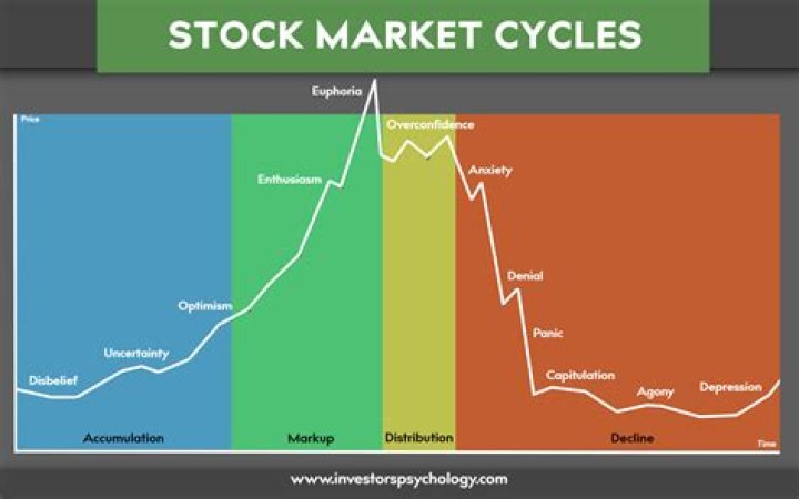 Do you think financial markets such as the stock market are efficient?