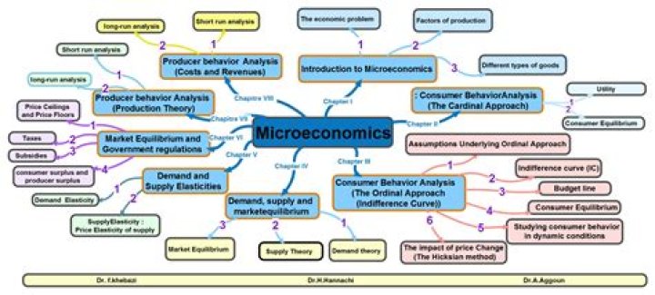 How can microeconomics help me?