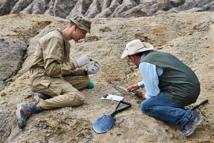 How can you say that historians and archaeologists are like detective?