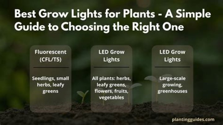How do I choose the right product to sell?