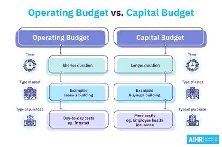 How do you analyze a capital budget?