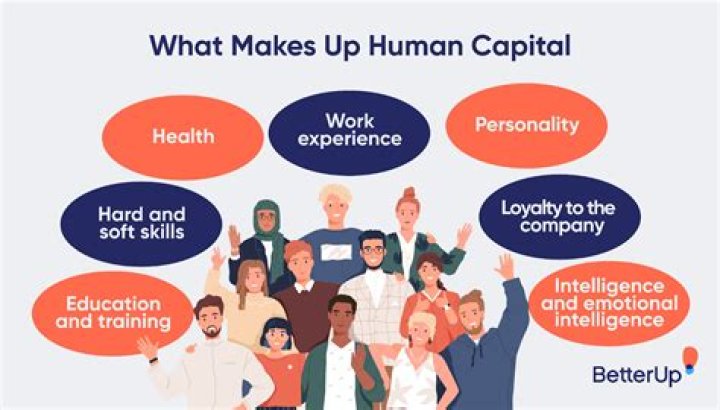 How does human capital influence training?