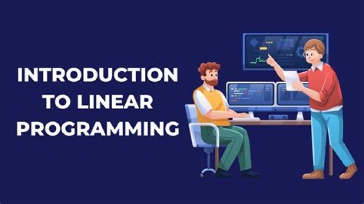 How is linear programming used in finance?