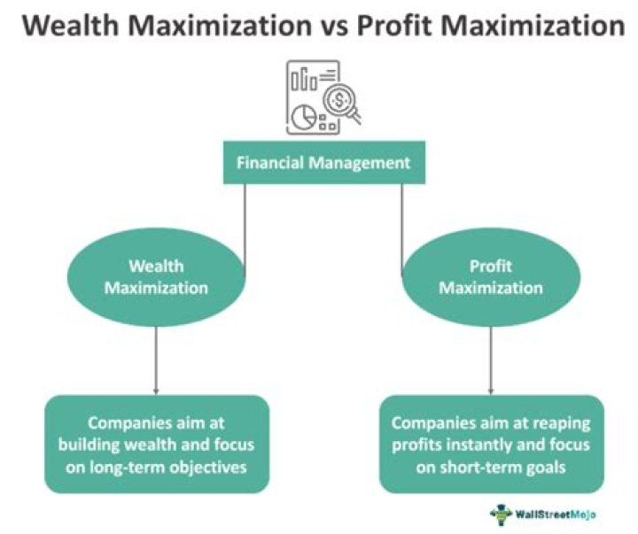 How is the NPV rule related to the goal of maximizing shareholder wealth?