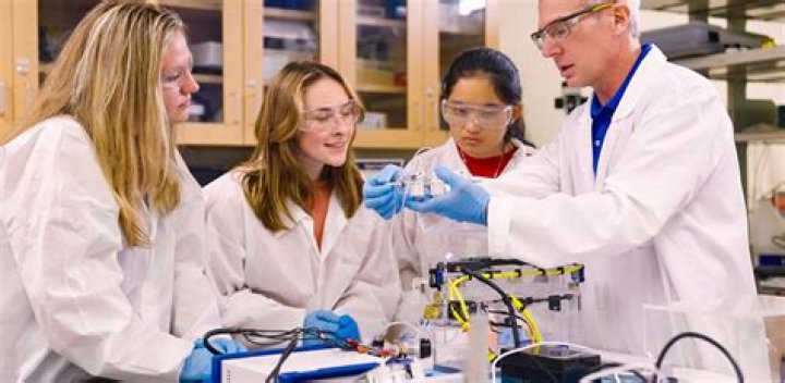 How much can bioengineers make?
