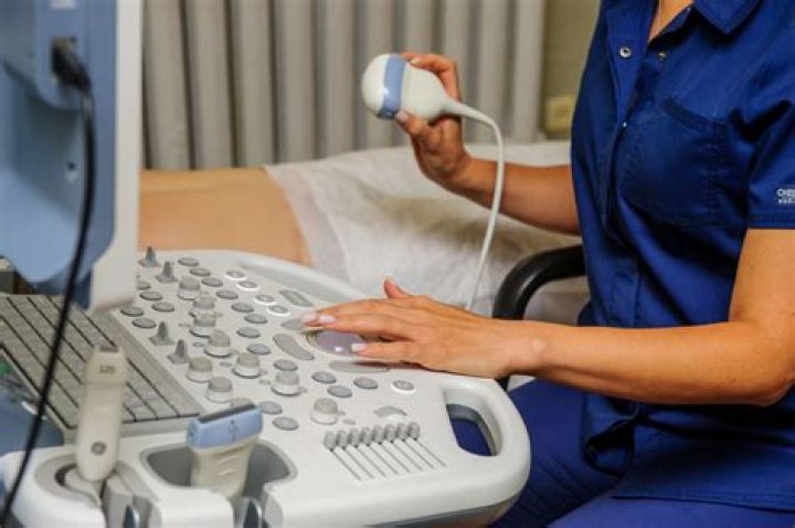 How much do vet techs make in NM?