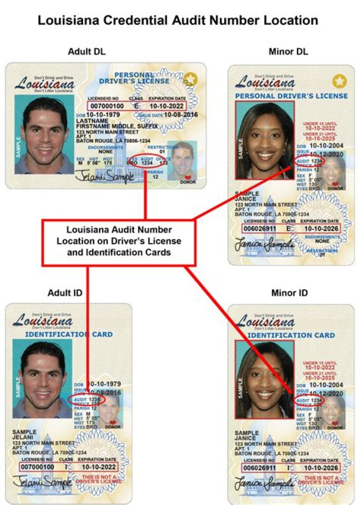 How much is a Class D license in Louisiana?