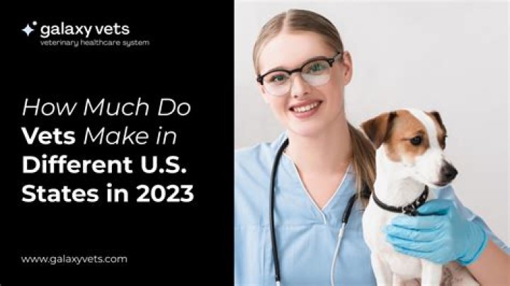 How much money does a veterinarian make a year?
