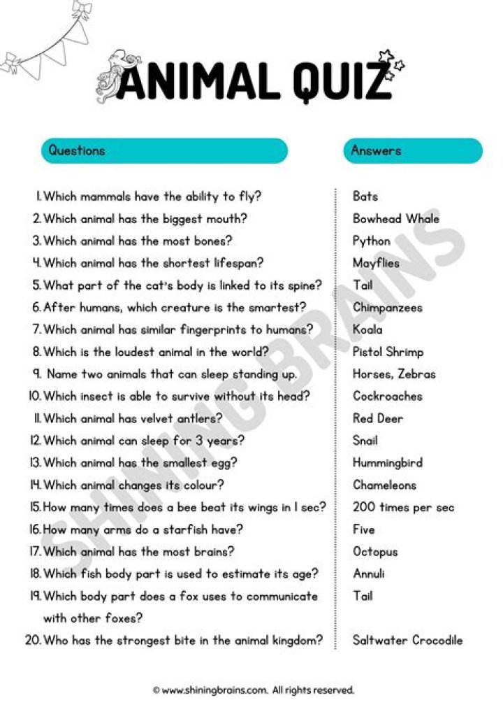 What are some good questions for quizzes?