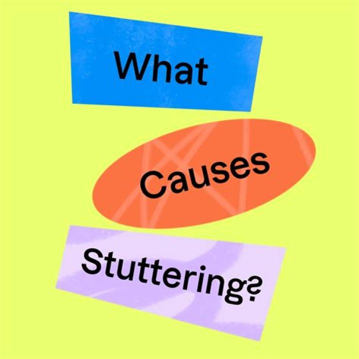 What are the 3 types of culture?