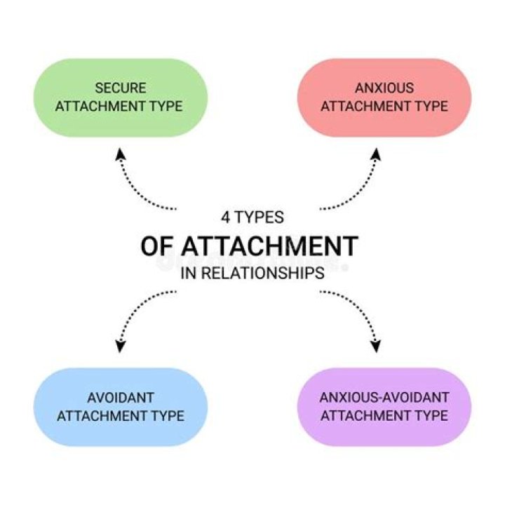 What are the 4 types of attachment?
