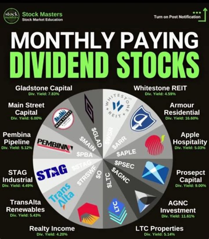 What are the king dividend stocks?