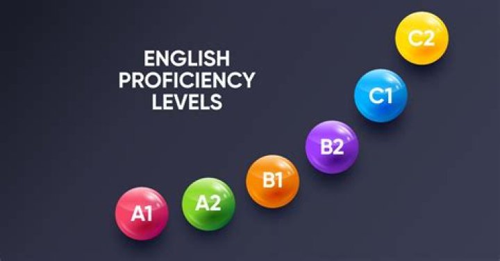 What are the levels of proficiency in Excel?