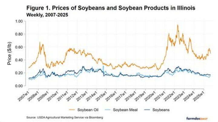 What are the price of soybeans today?