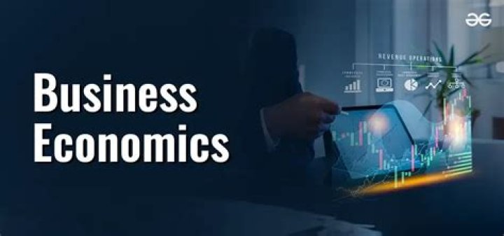 What are the role of Business Economics?