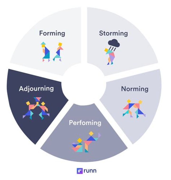 What are the stages of organization?