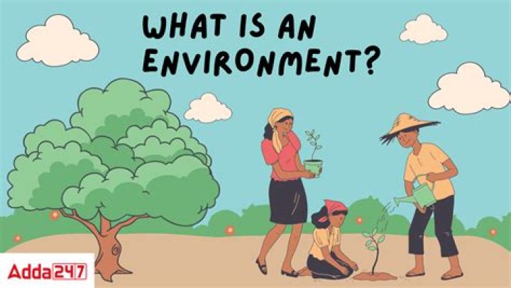 What does environmental munificence mean?