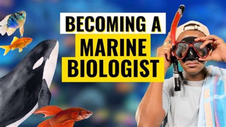What does marine rhyme with?