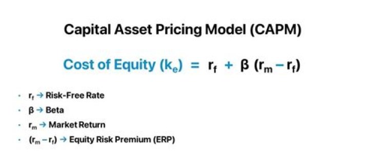What does the beta in the Capital Asset Pricing Model CAPM measures?