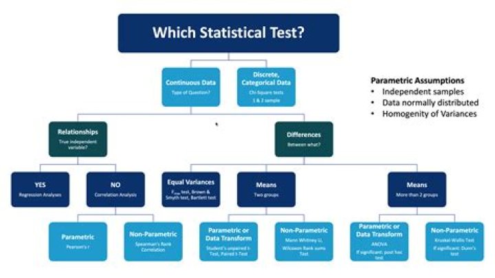 What is a statistical sample what is it used for?