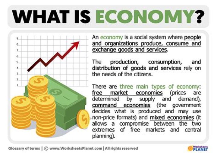 What is an economy simple definition?