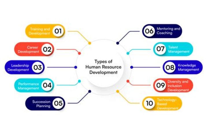 What is human resource division?