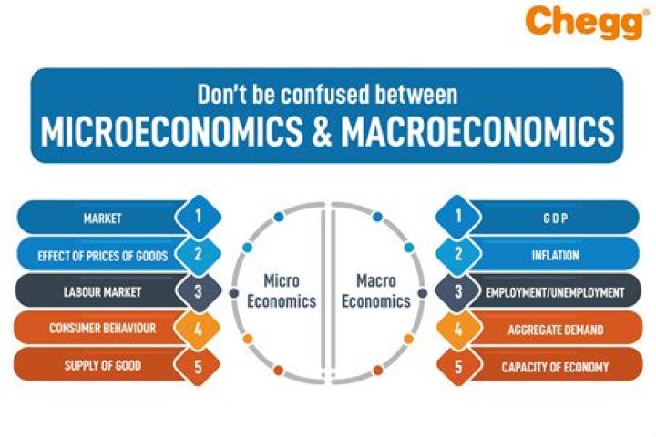 What is macro and micro economy?