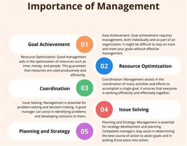 What is management explain with definition and importance of management?