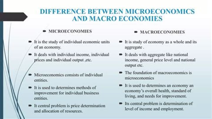 What is micro and macro economy?