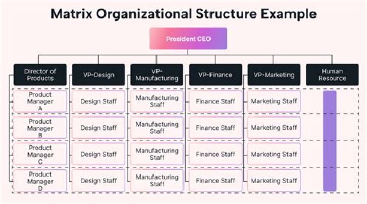 What is the matrix organizational structure?