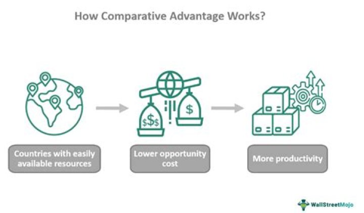 What is your comparative advantage?
