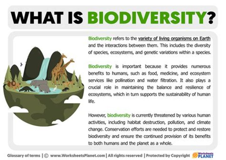 What is your understanding of the term biodiversity?