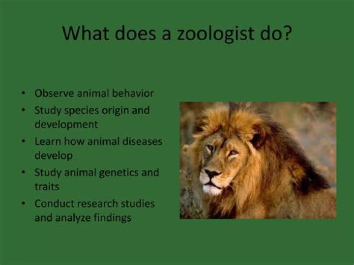 What zoologist means?