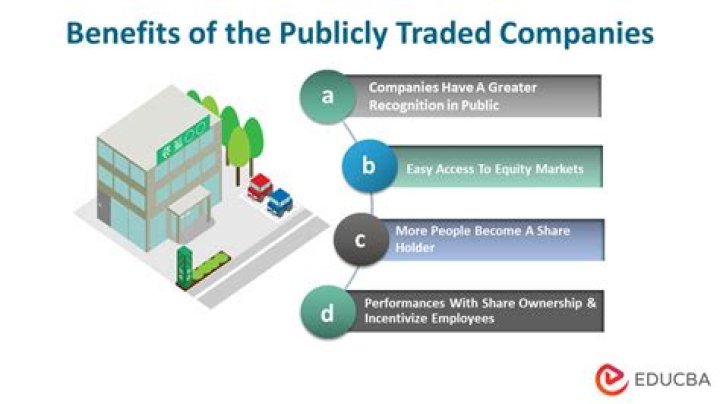 Where can I find information on a publicly traded company?
