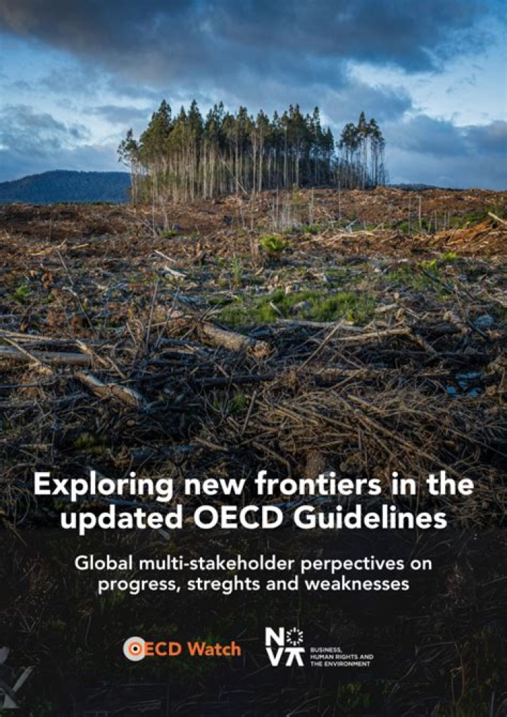 Who do the OECD Guidelines apply to?